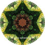 Mandala Art Print China-Bogda Mts 07