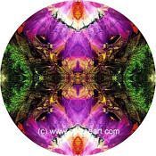 Mandala Art Print China-Bogda Mts 11