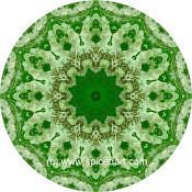 Mandala Art Print Eastern Asia 02