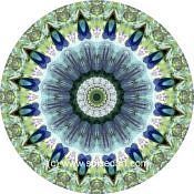 Mandala Art Print Edrengiyn Nuruu 04