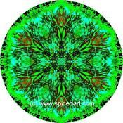 Mandala Art Print Florida Everglades 01