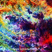 Mandala Art Print - Ghadamis River Source Image