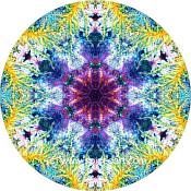 Mandala Art Print Ghadamis River 09