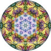 Mandala Art Print Great Sandy Desert 01
