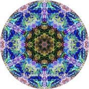 Mandala Art Print Great Sandy Desert 02
