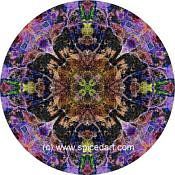 Mandala Art Print Great Sandy Desert 08