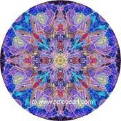 Mandala Art Print Great Sandy Desert 16