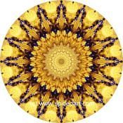 Mandala Art Print Iran-Salt Desert 05