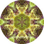 Mandala Art Print Iran-Zagros Mts 01