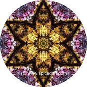 Mandala Art Print Iraqi Emplacement 03