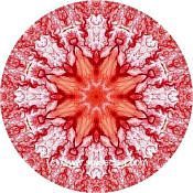 Mandala Art Print Jordan-Wadis 02
