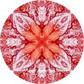 Mandala Art Print Jordan-Wadis 04