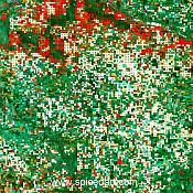 Mandala Art Print - Kansas Pivot Irrigation Source Image