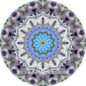 Mandala Art Print Lake Carnegie 03