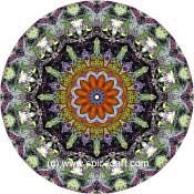 Mandala Art Print Lake Carnegie 04