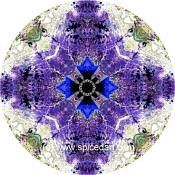 Mandala Art Print Lake Carnegie 05