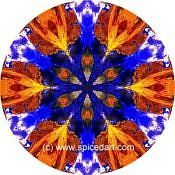 Mandala Art Print Lake Disappointment 01