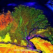 Mandala Art Print - Lena River Delta Source Image