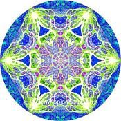 Mandala Art Print Lena River Delta 02