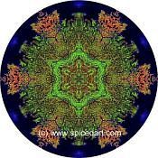 Mandala Art Print Lena River Delta 03