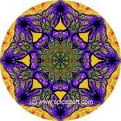 Mandala Art Print Lena River Delta 07