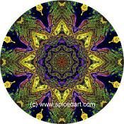 Mandala Art Print Lena River Delta 09