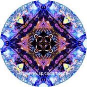 Mandala Art Print Mali-Niger River 04