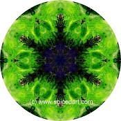 Mandala Art Print Mauritania Formation 01