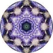 Mandala Art Print Mexico-Coahuila 04