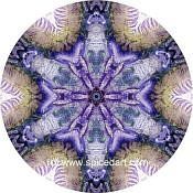Mandala Art Print Mexico-Coahuila 06
