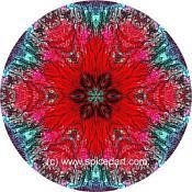 Mandala Art Print Mexico-Colima Volcano 01