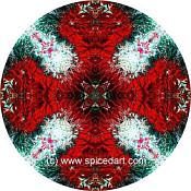 Mandala Art Print Mexico-Colima Volcano 03