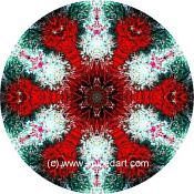 Mandala Art Print Mexico-Colima Volcano 05