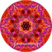 Mandala Art Print Mississippi Delta 02