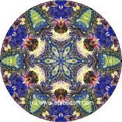 Mandala Art Print Morocco-Atlas Mts 03