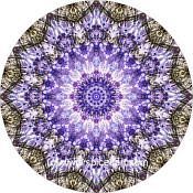 Mandala Art Print Namaqualand 01