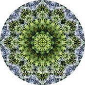 Mandala Art Print Namaqualand 02