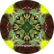 Mandala Art Print Namib Desert-Massif 07