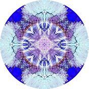 Mandala Art Print Namib Desert-Massif 08