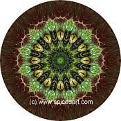 Mandala Art Print Namib Desert-Massif 09