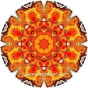 Mandala Art Print North America 03
