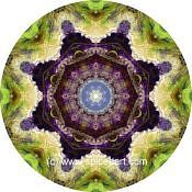 Mandala Art Print Pakistan-Sulaiman Mts 03
