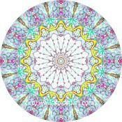 Mandala Art Print Parana River Delta 02