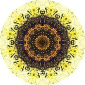 Mandala Art Print Pinacate Volcano Field 01