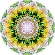 Mandala Art Print Tanzania-Kilmanjaro 01