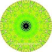 Mandala Art Print Volga River Delta 01